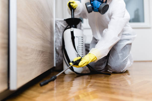 Best Best Pest Control Companies  in Columbiana, OH