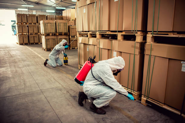 Best Pest Control Treatment  in Columbiana, OH