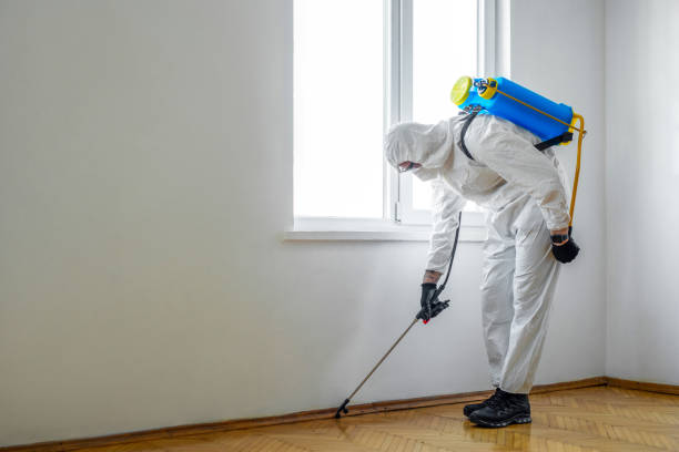 Reliable Columbiana, OH Pest Control Solutions
