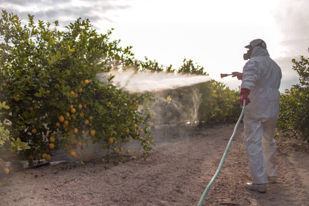 Best Affordable Pest Control Services  in Columbiana, OH