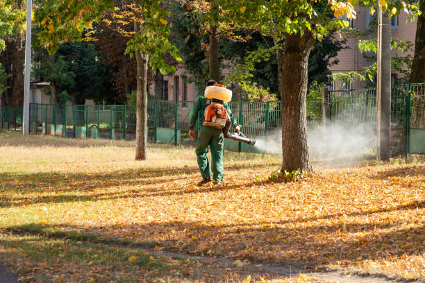 Best Wasp Removal Services  in Columbiana, OH