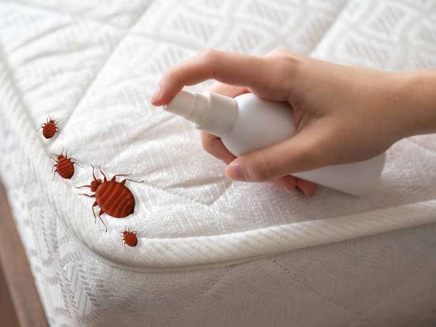 Best Mosquito Control Services  in Columbiana, OH